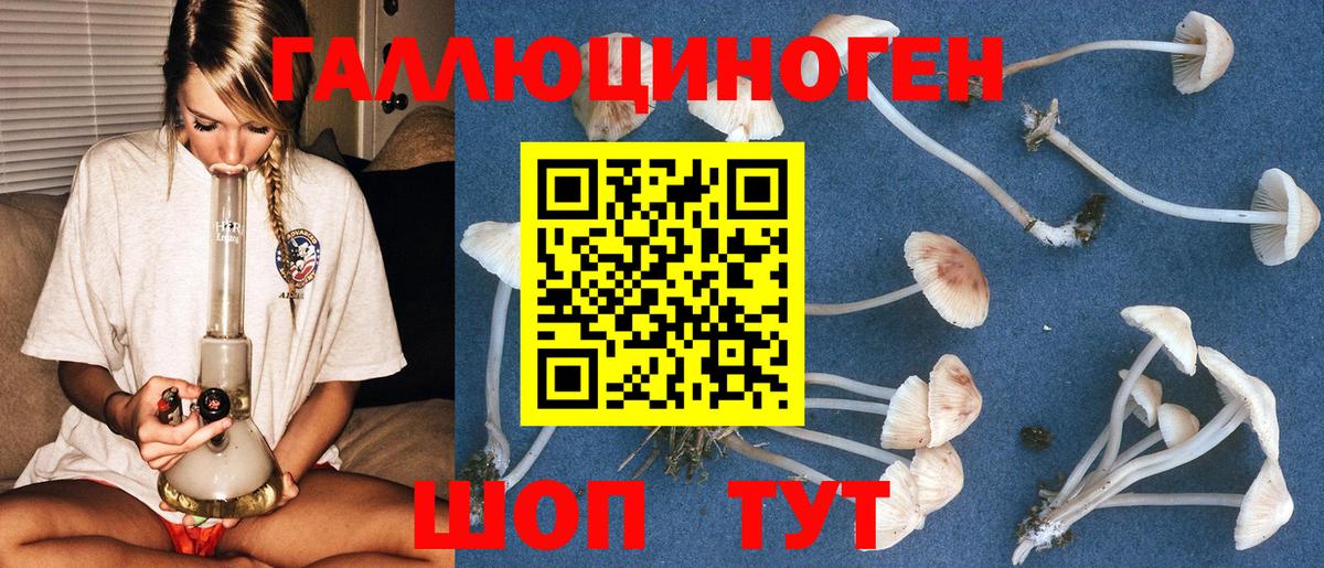 Галлюциногенные грибы мухоморы Чебоксары